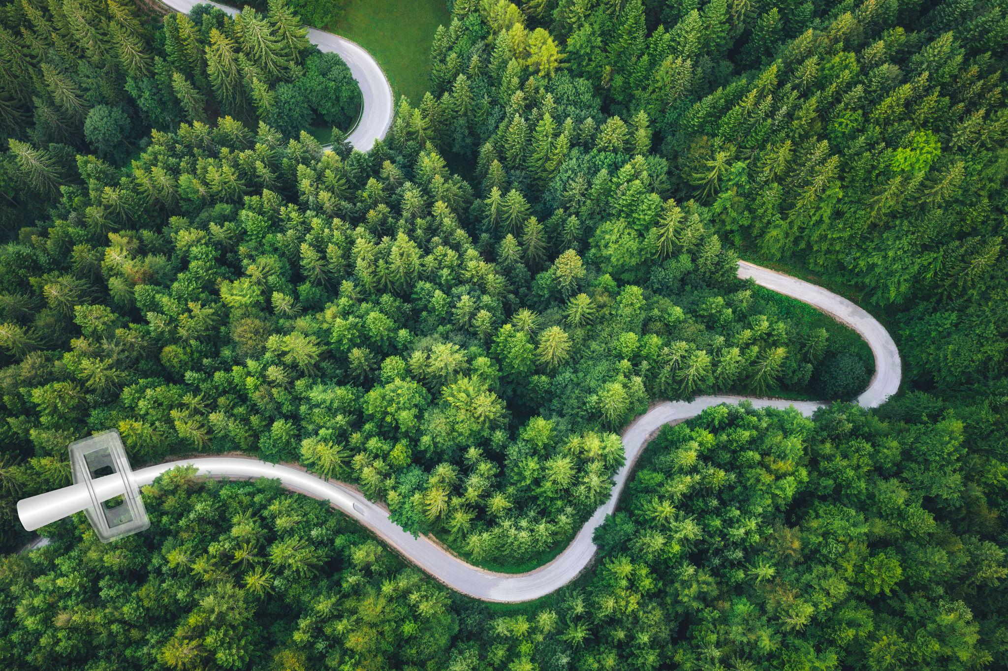 Idyllic winding road through the green pine forest.